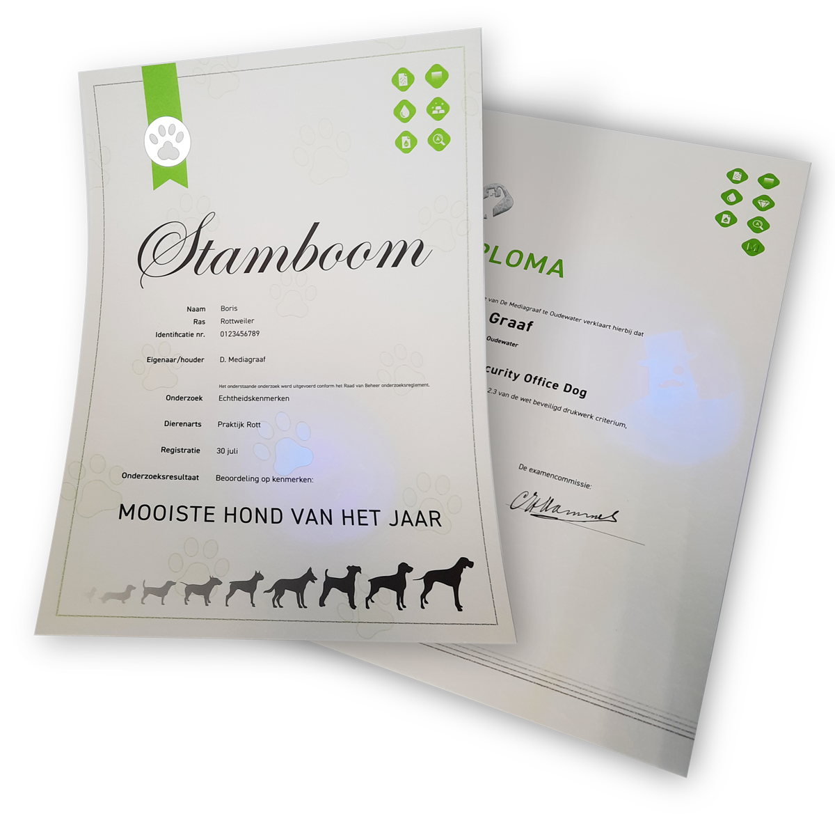 Drukwerk Beveiligd-drukwerk-De-mediagraaf Drukwerk Beveiligd drukwerk De mediagraaf