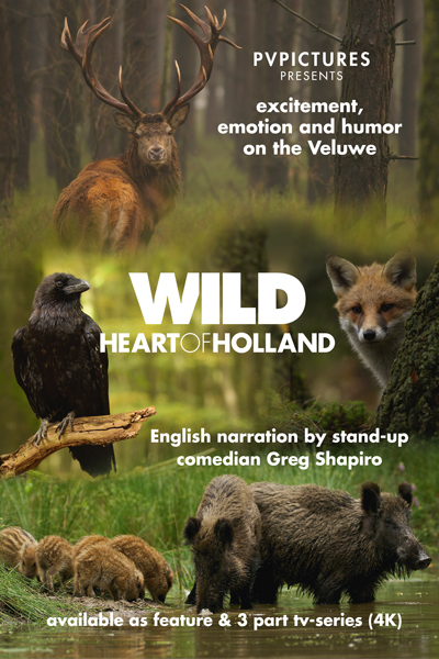 Flyer-vormgeving Flyer vormgeving